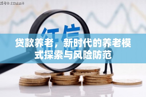 金溪贷款养老，新时代的养老模式探索与风险防范