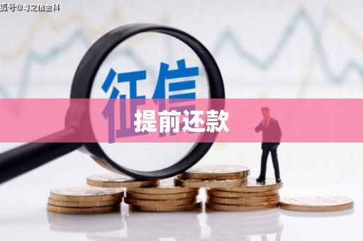 金溪提前还款