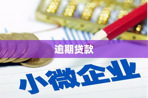 金溪逾期贷款