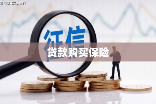 金溪贷款购买保险