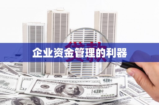 金溪企业资金管理的利器