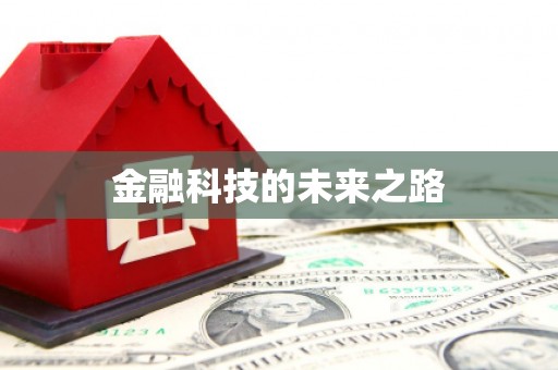 金溪金融科技的未来之路