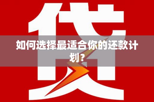 金溪如何选择最适合你的还款计划？