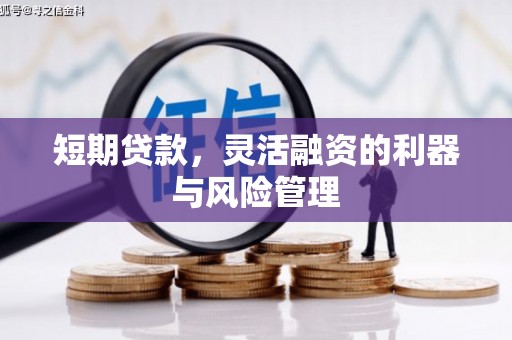 金溪短期贷款，灵活融资的利器与风险管理