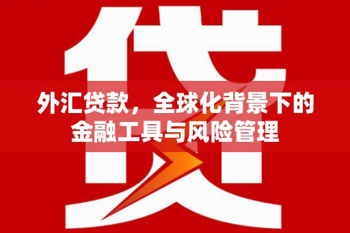 金溪外汇贷款，全球化背景下的金融工具与风险管理