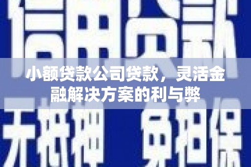 金溪小额贷款公司贷款，灵活金融解决方案的利与弊