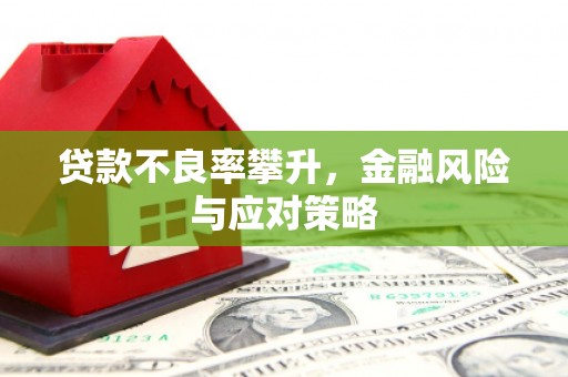 金溪贷款不良率攀升，金融风险与应对策略