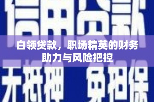 金溪白领贷款,职场精英的财务助力与风险把控 金溪白领贷款,职场精英的财务助力与风险把控